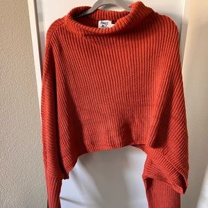 Princess Polly sweater! Never worn! Cropped and Oversized fit.